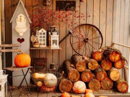 Applying The Art of Fall Decor (1)