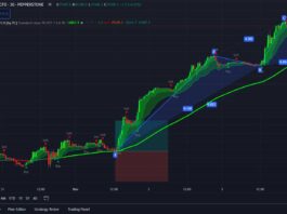 Beginner’s Roadmap to Read Trading Charts for Maximum Profit